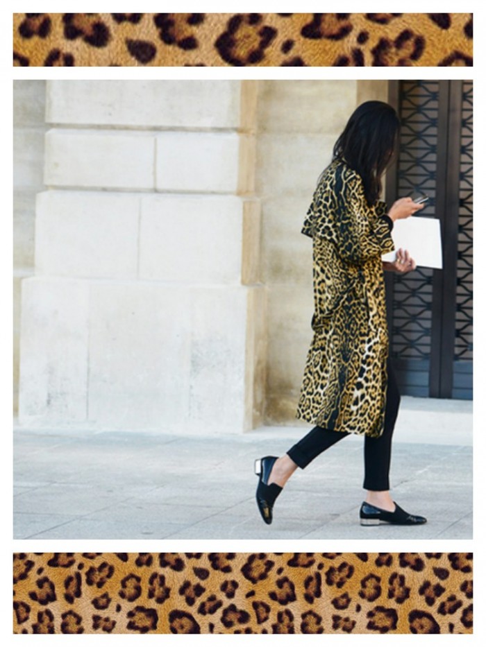 Leopard, Emmanuelle Alt, Vicki Archer, French Essence